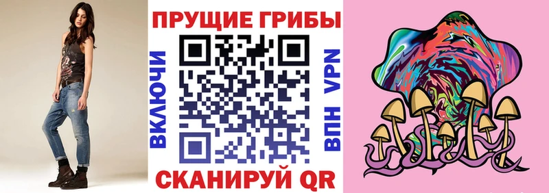 Псилоцибиновые грибы Psilocybe  цены   Инта 